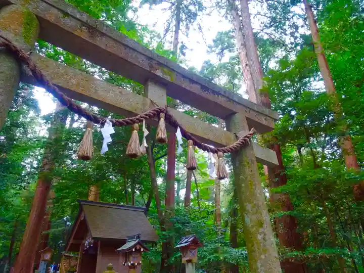 椿大神社の鳥居