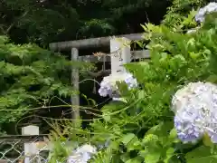 龍尾神社(静岡県)