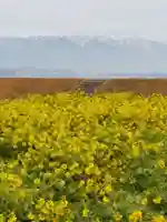 勝部神社(滋賀県)