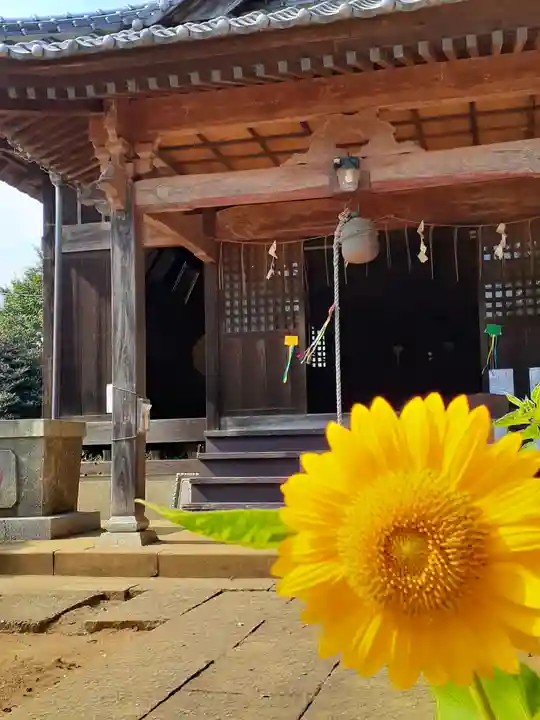 伏木香取神社の本殿・本堂