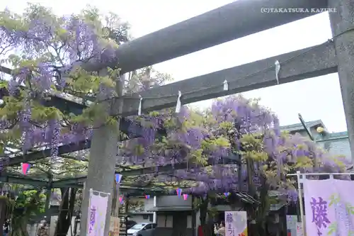 國領神社の鳥居
