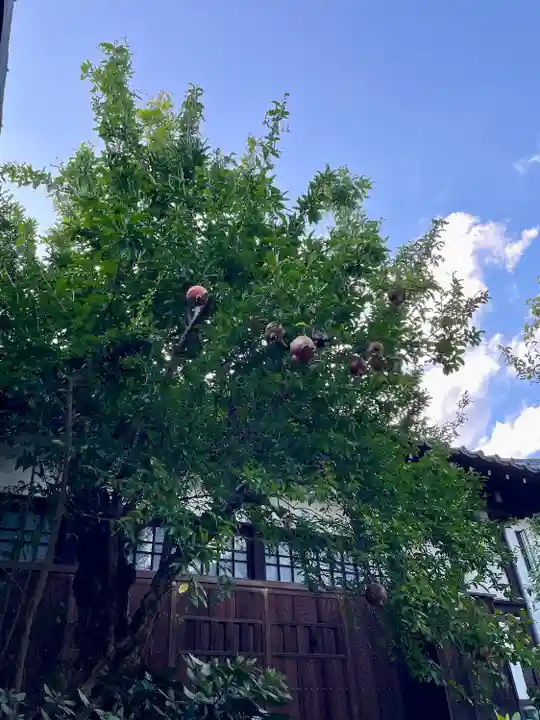 心光寺(東京都)