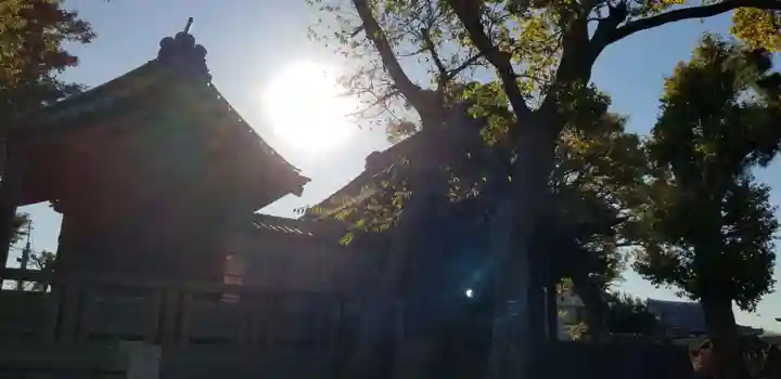 高須香取神社(埼玉県)
