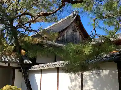 妙心寺（妙心禅寺）(京都府)