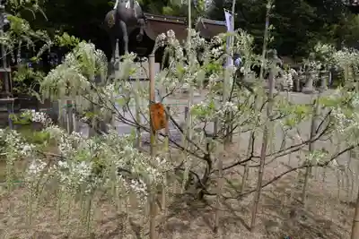 志那神社(滋賀県)