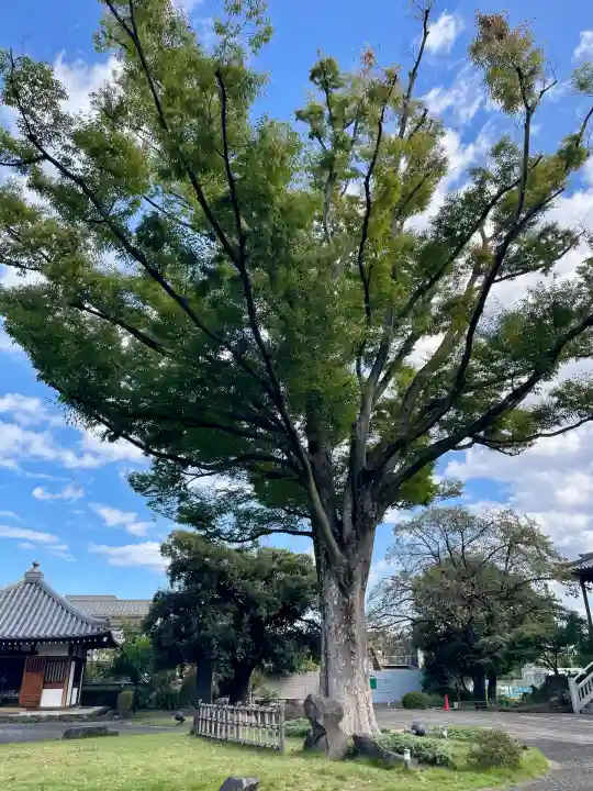正光寺(東京都)