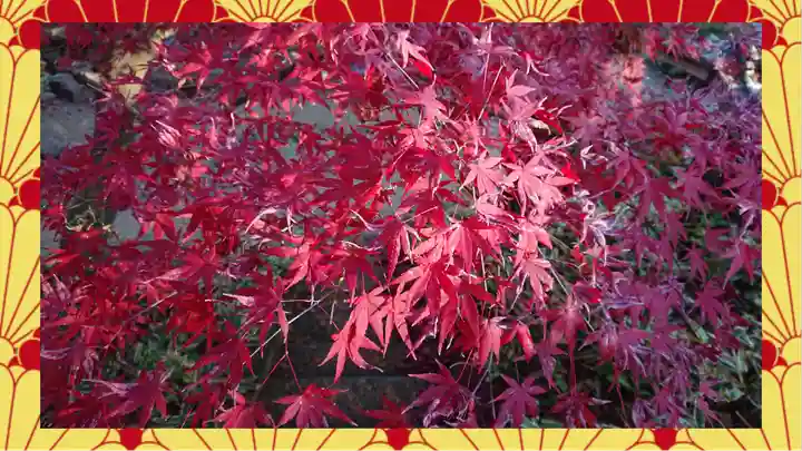 崇禅寺(群馬県)