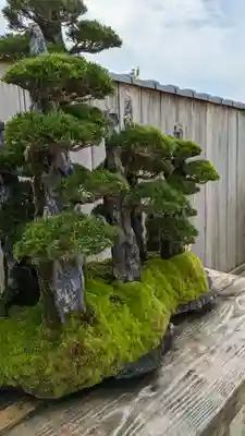 芳春院(京都府)