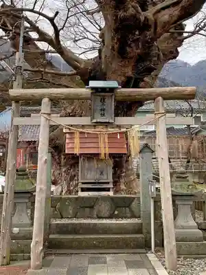 住吉神社(彌彦神社境外末社)の鳥居