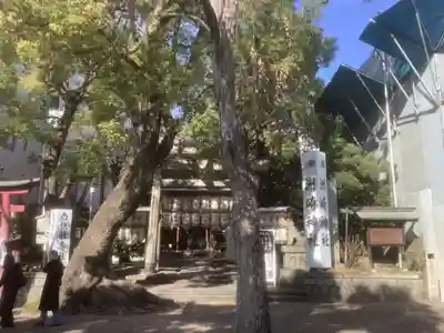 洲嵜神社(愛知県)