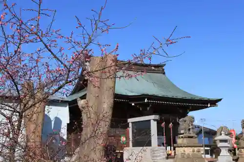 熊野福藏神社の本殿・本堂
