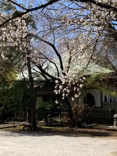 最勝寺教学院の自然