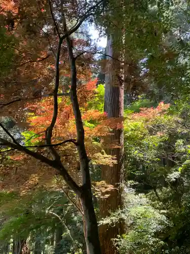 小國神社の{uncategorized: "未分類", other: "その他", undefined: "問題あり", building: "その他建物", grave: "お墓", sacred_gate: "鳥居", guardian: "狛犬", statue: "像", buddha: "仏像", history: "歴史", nature: "自然", garden: "庭園", animal: "動物", pagoda: "塔", temizu: "手水舎", mountain_gate: "山門・神門", sanctuary: "本殿・本堂", subordinate: "末社・摂社", art: "芸術", scenery: "景色", jizo: "地蔵", ema: "絵馬", goshuin: "御朱印", omikuji: "おみくじ", items: "授与品その他", amulet: "お守り", goshuincho: "御朱印帳", eats: "食事", festival: "お祭り", votive_dance: "神楽", shichigosan: "七五三参", wedding: "結婚式", experience: "体験その他", initially: "初詣", around: "周辺", anti_infection: "感染症対策"}