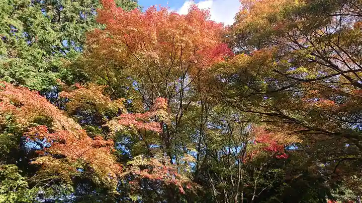 粟田神社の自然