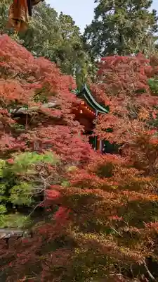 毘沙門堂門跡(京都府)