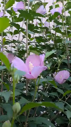 西林寺(京都府)