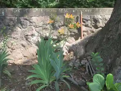 五所神社(神奈川県)