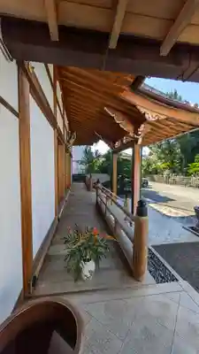 悟眞寺(悟真寺)(京都府)