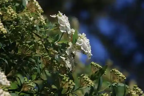 庄野菅原神社の庭園