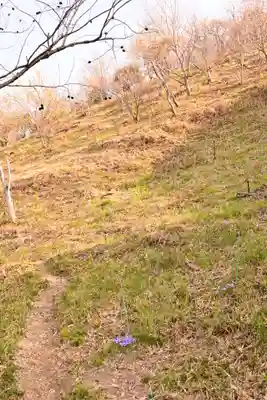 鎌大師堂(愛媛県)