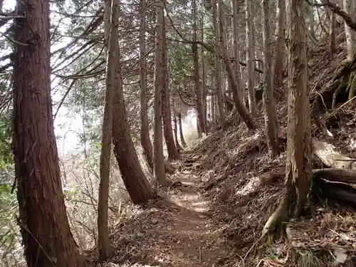 武蔵御嶽神社奥の院の自然