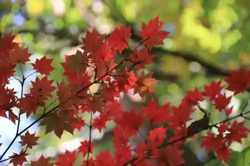 高松神社の庭園