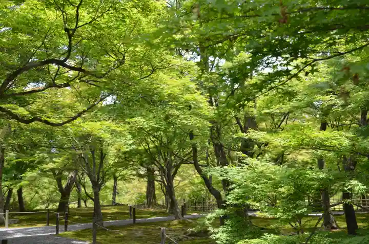 東福禅寺(東福寺)(京都府)