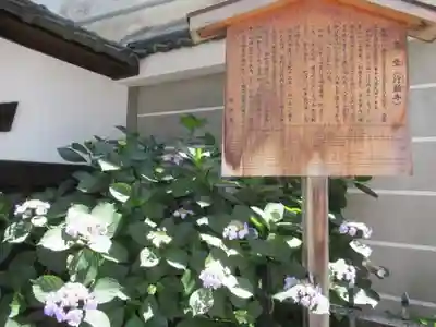 行願寺（革堂）の歴史