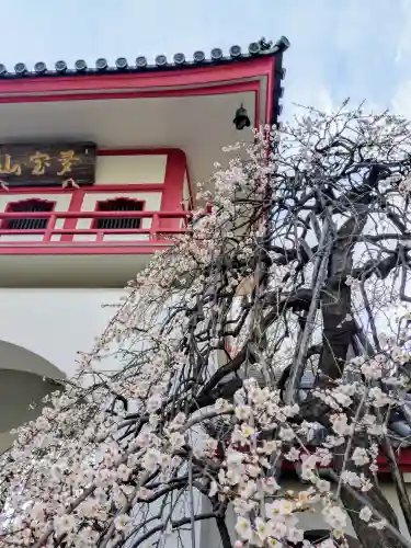 成願寺(東京都)