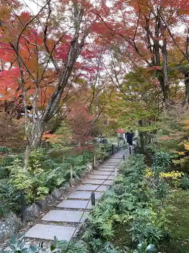 宝筐院(京都府)