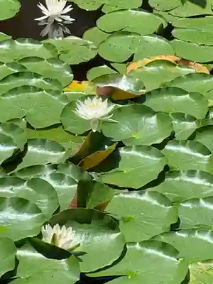 陽林寺(福島県)