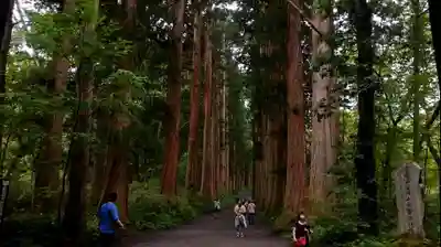 戸隠神社奥社(長野県)