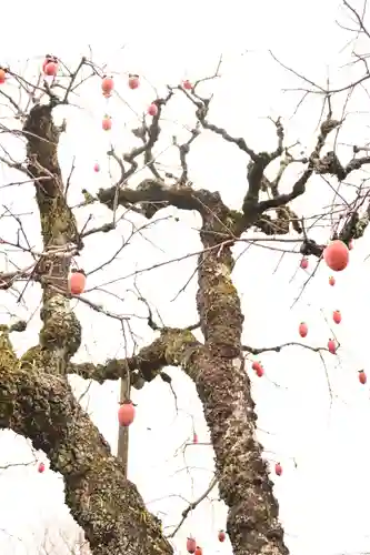 実光院(京都府)