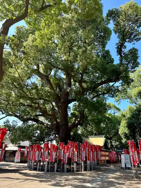 住吉大社(大阪府)