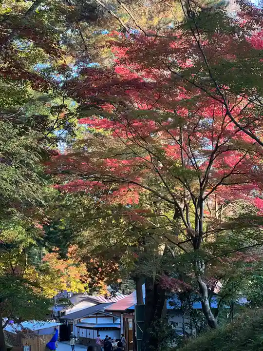 白山神社(岩手県)