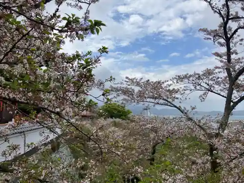 金剛宝寺（紀三井寺）(和歌山県)
