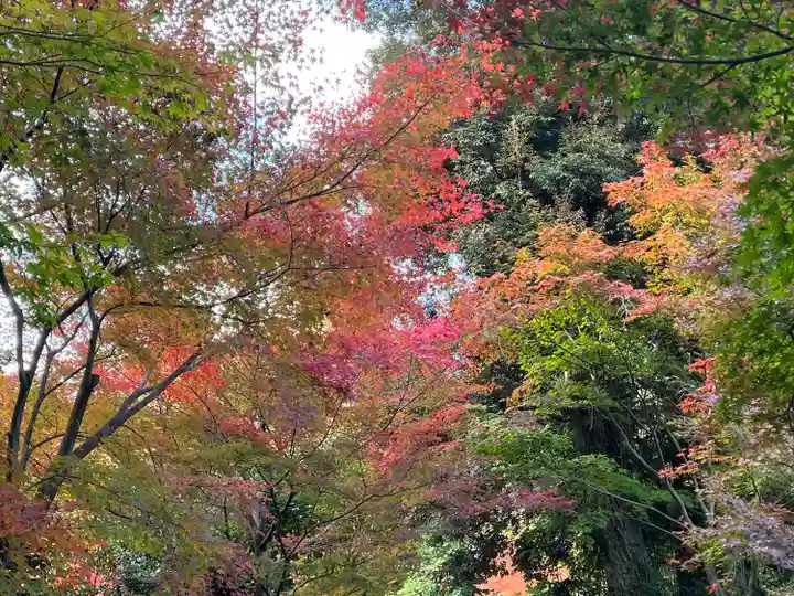 即宗院(京都府)