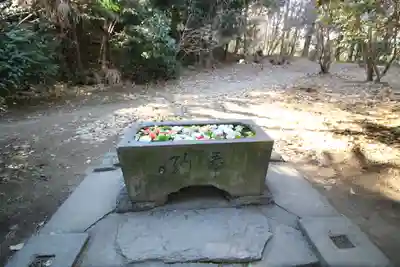 前玉神社(埼玉県)