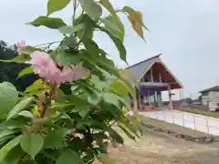 船玉神社(茨城県)