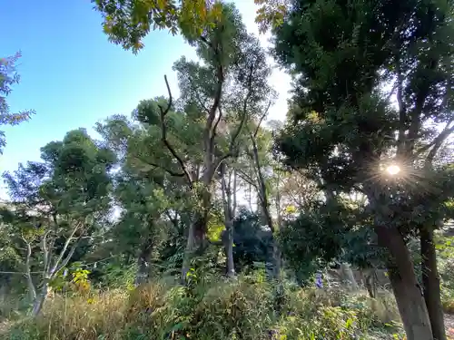 布多天神社(東京都)