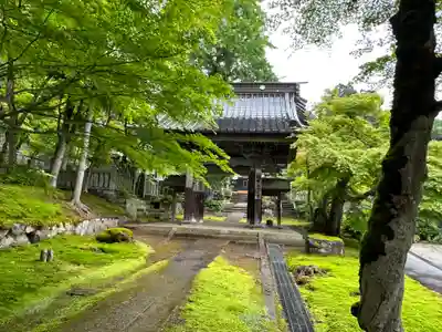 珍蔵寺　の山門・神門