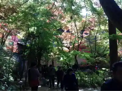 金剛輪寺(滋賀県)