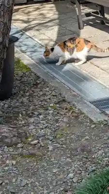 行願寺（革堂）(京都府)