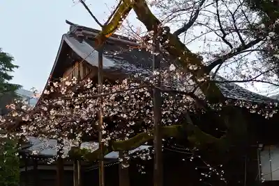 靖國神社(東京都)
