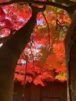 滑川神社 - 仕事と子どもの守り神(福島県)