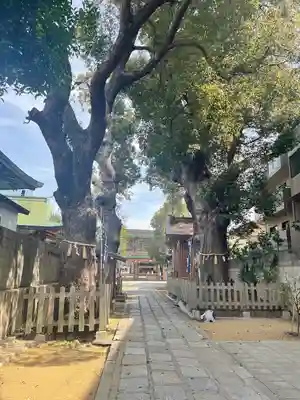 阿倍王子神社(大阪府)
