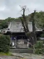 常楽寺の本殿・本堂
