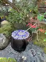 心行寺の手水舎