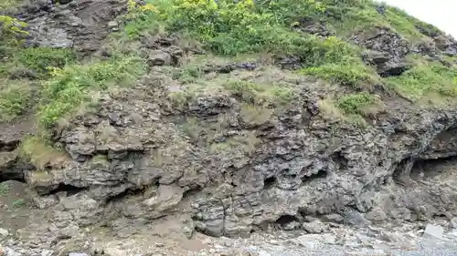 金比羅神社の自然