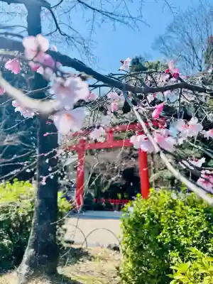 八坂神社(祇園さん)の{uncategorized: "未分類", other: "その他", undefined: "問題あり", building: "その他建物", grave: "お墓", sacred_gate: "鳥居", guardian: "狛犬", statue: "像", buddha: "仏像", history: "歴史", nature: "自然", garden: "庭園", animal: "動物", pagoda: "塔", temizu: "手水舎", mountain_gate: "山門・神門", sanctuary: "本殿・本堂", subordinate: "末社・摂社", art: "芸術", scenery: "景色", jizo: "地蔵", ema: "絵馬", goshuin: "御朱印", omikuji: "おみくじ", items: "授与品その他", amulet: "お守り", goshuincho: "御朱印帳", eats: "食事", festival: "お祭り", votive_dance: "神楽", shichigosan: "七五三参", wedding: "結婚式", experience: "体験その他", initially: "初詣", around: "周辺", anti_infection: "感染症対策"}